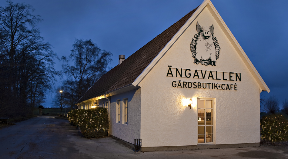 Ängavallen