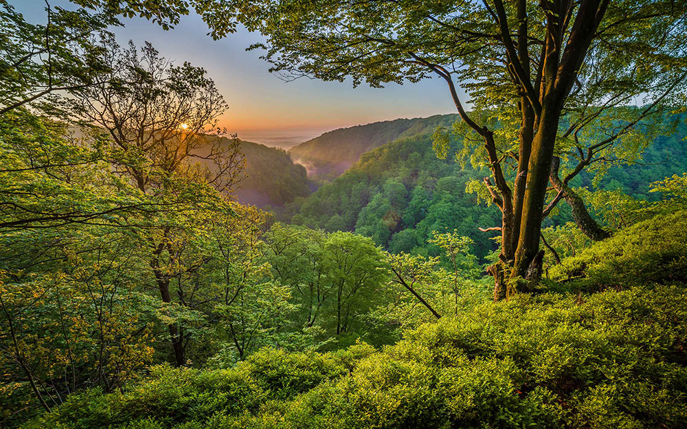 Söderåsen nationalpark