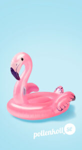 Pyspunka flamingo