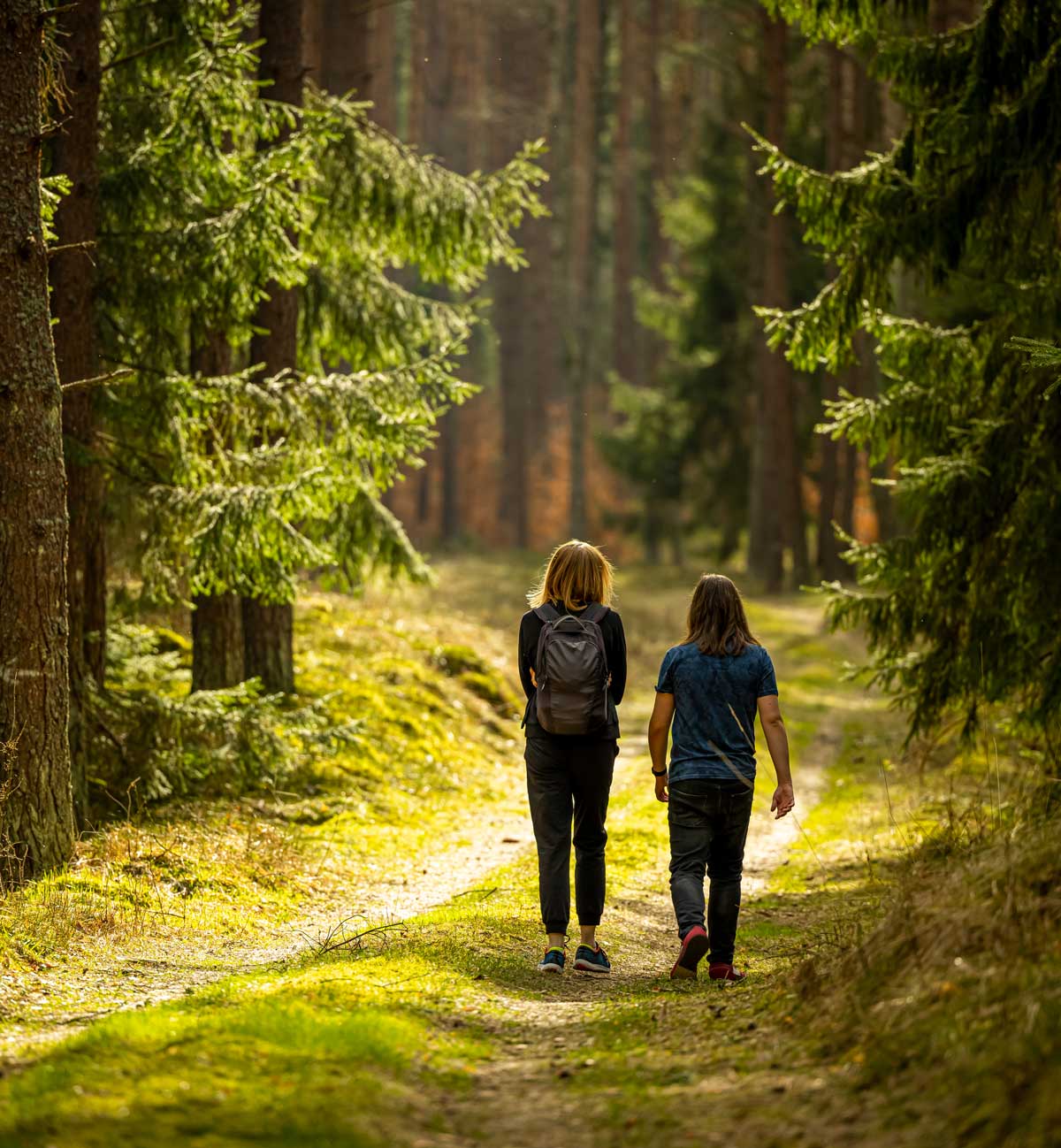 Skogspromenad i Vedby