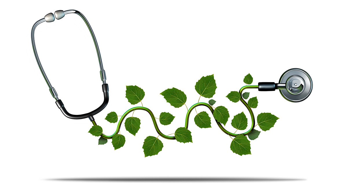 Natur och kultur på recept